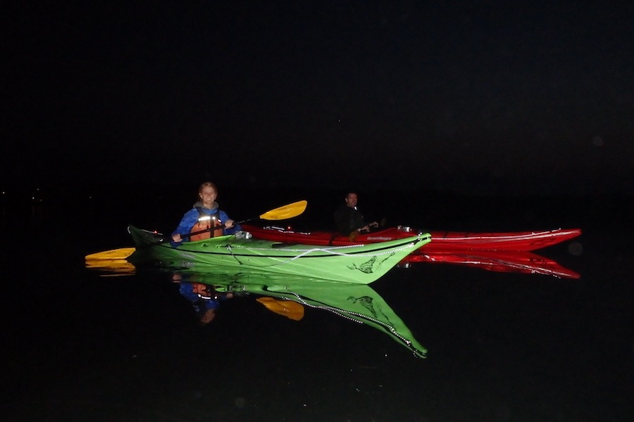 Castine Kayak Adventures - Castine, ME - Bioluminescent ...