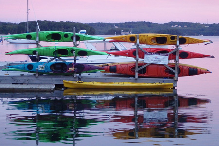 castine bioluminescent